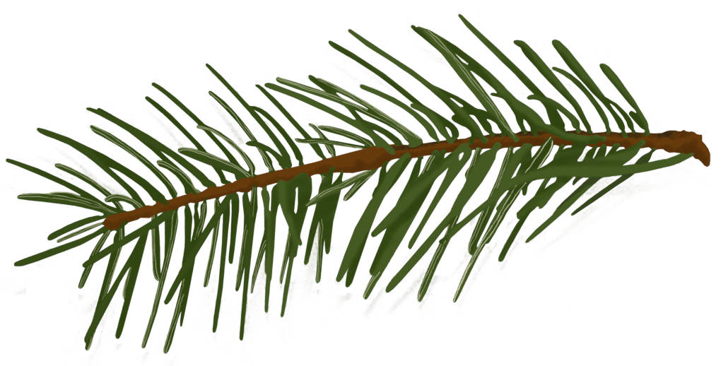 Silvester- und neujahrsbräuche aus aller welt Alltagssituationen online lernen