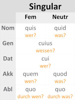 Interrogativpronomen online lernen