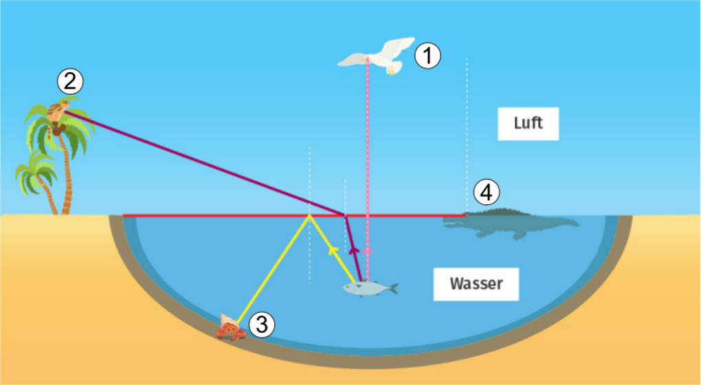 Was Ist Die Totalreflexion Totalreflexion Physik Definition, Erklärung, Beispiele
