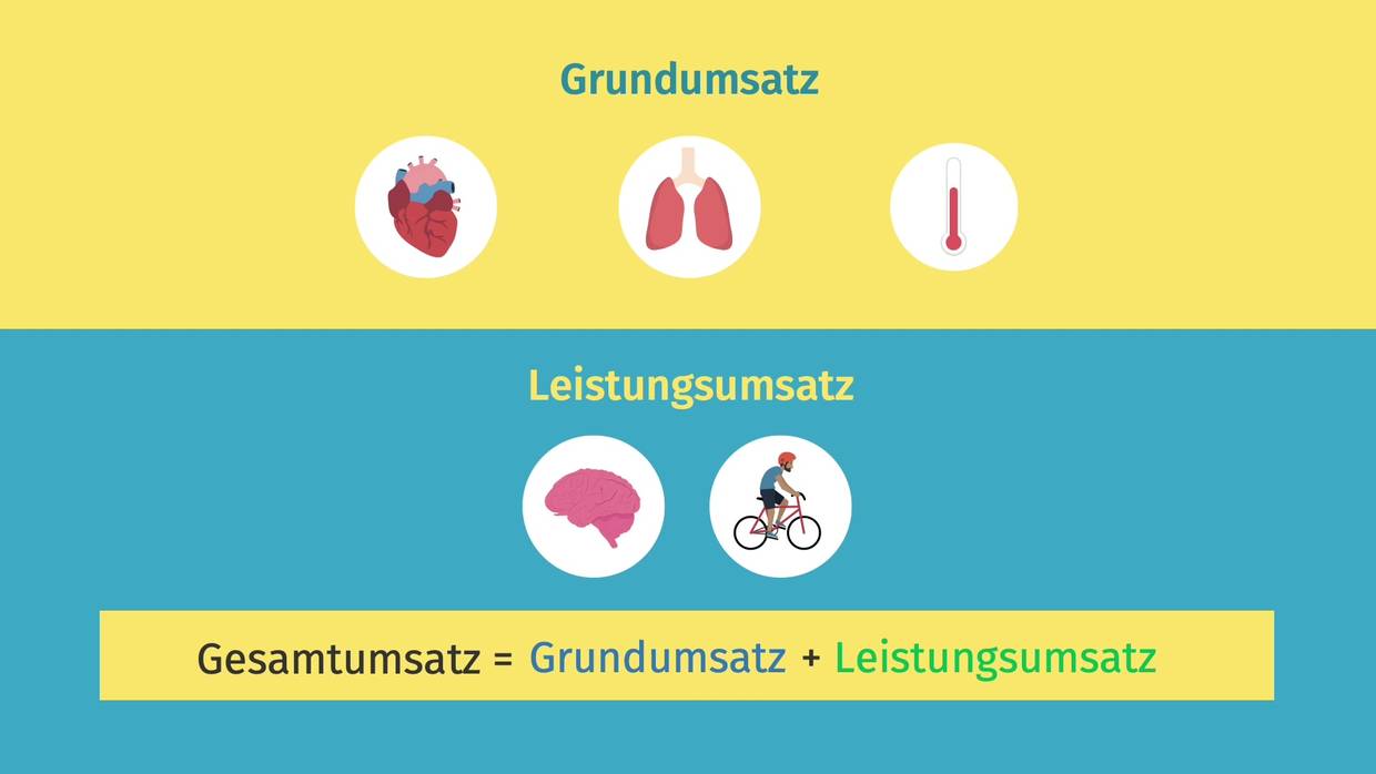 Grundumsatz + Leistungsumsatz Berechnen Frau www.sofatutor.at