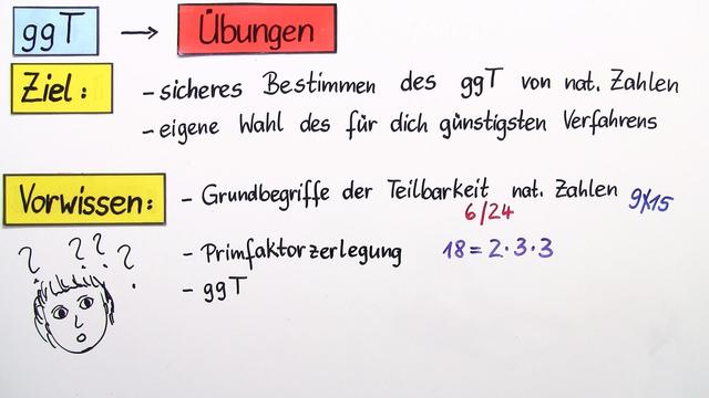 video image