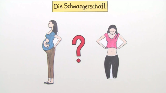 Schwangerschaft – Wie entwickelt sich ein Baby im Bauch?