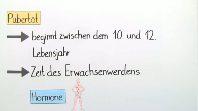 Was die Pubertät mit sich bringt