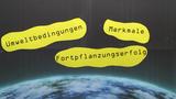 Evolutionstendenzen – der Weg der Evolution