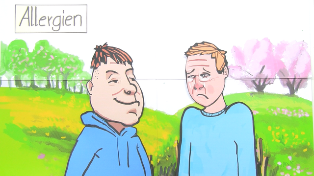 Heuschnupfen – Verlauf einer allergischen Reaktion
