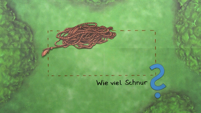 video image