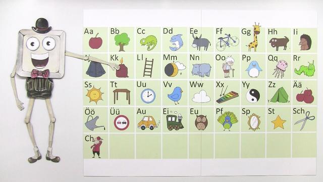 video image
