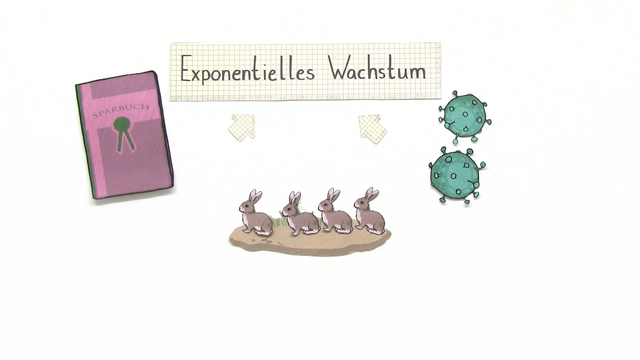 Exponentielle Wachstumsvorgänge – Modellierung