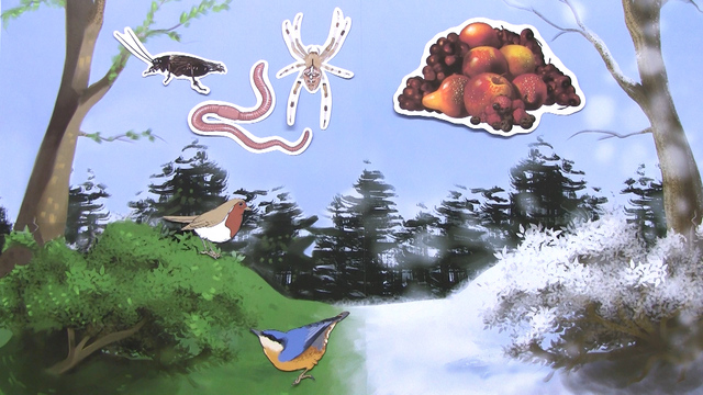 video image