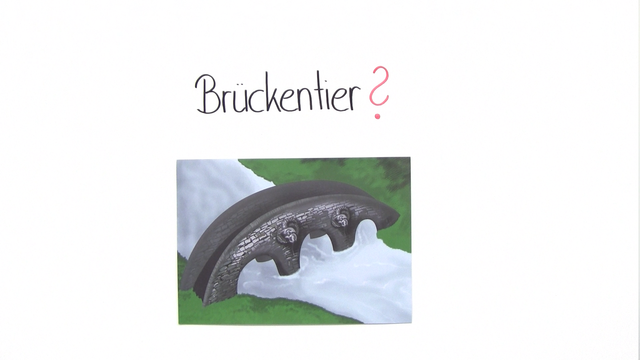Brückentiere – Belege der Evolution