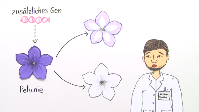 RNA-Interferenz – Abschalten eines Gens