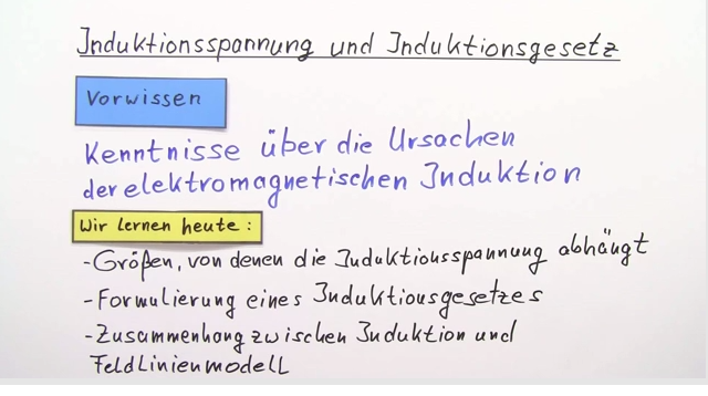 Induktionsspannung und Induktionsgesetz