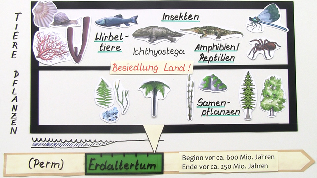 Erdzeitalter – Einordnung und Besonderheiten