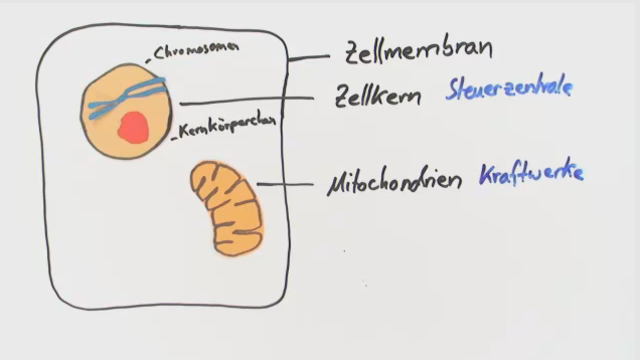 Zelle – Grundeinheit des Lebendigen