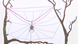 Vlcsnap 2014 02 27 16h41m00s51