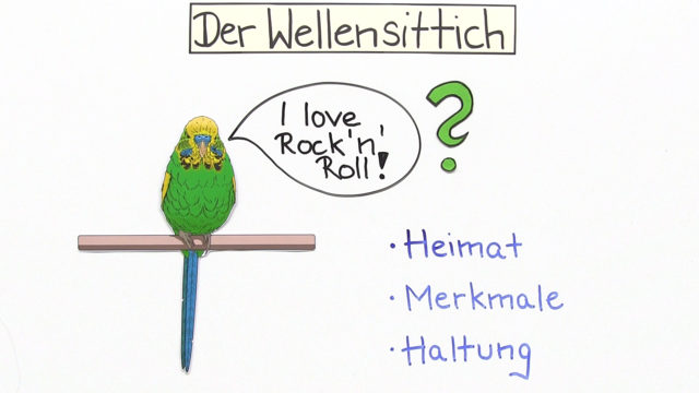 Wellensittich