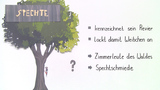 Spechte