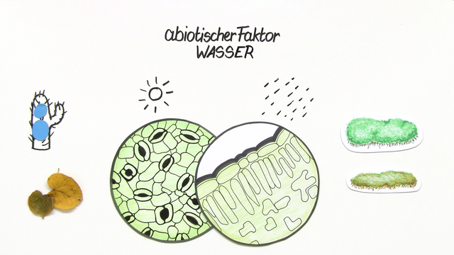 Biologie online lernen klasse 10 angewandte chemie deutsch