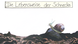 12915 weichtiere lebensweise der schnecke.standbild001
