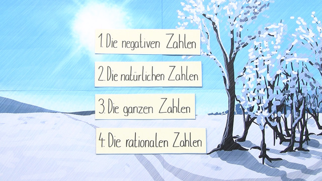 video image