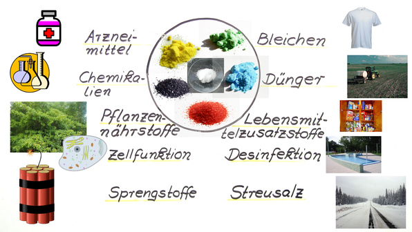 Salze – Eigenschaften und Bildung online lernen