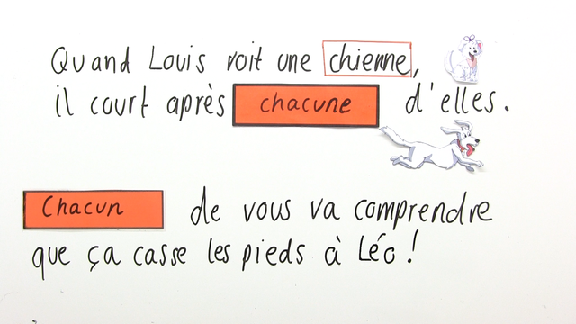 Wie verwende ich „chaque” und „chacun”?