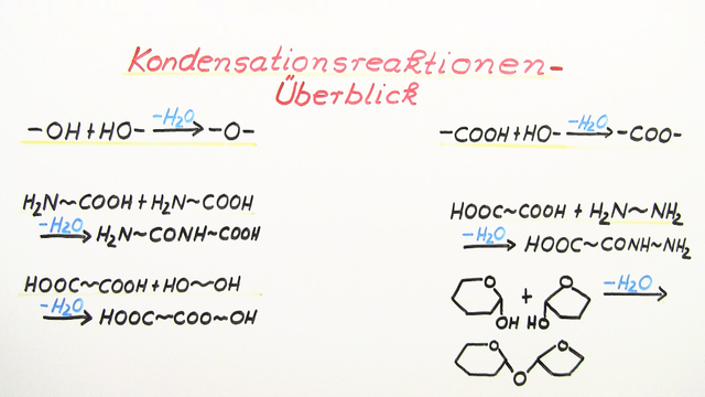 Kondensationsreaktionen Überblick (Übungen & Arbeitsblätter)