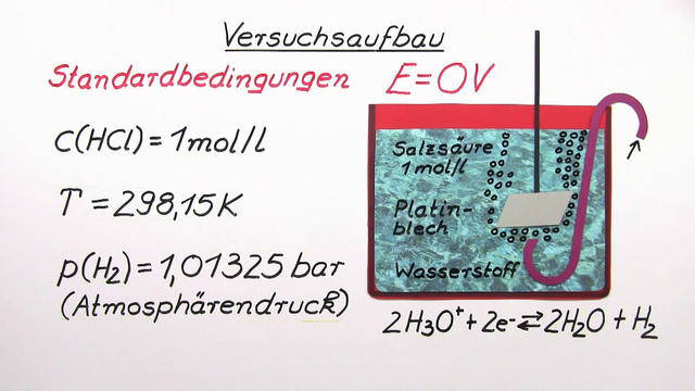 Die Standardwasserstoffelektrode