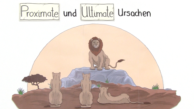 Proximate und ultimate Ursachen