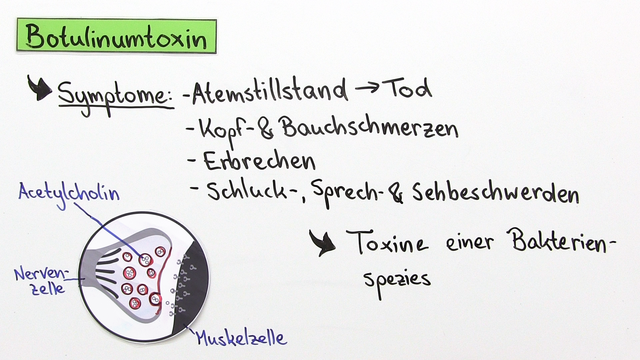 Synapse – Wirkung von Giften