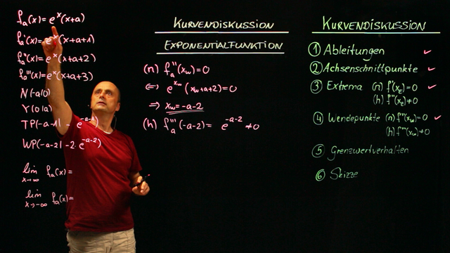 Scharen von Exponentialfunktionen – Kurvendiskussion (1)