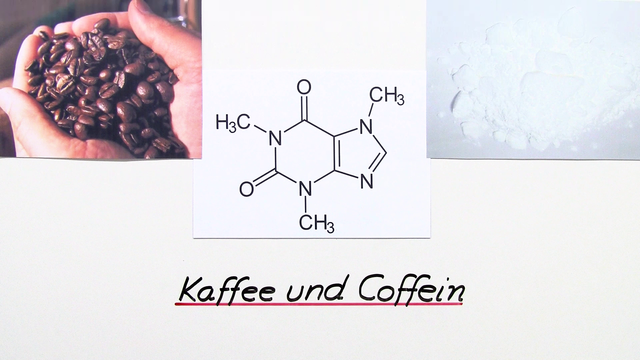 Kaffee und Coffein