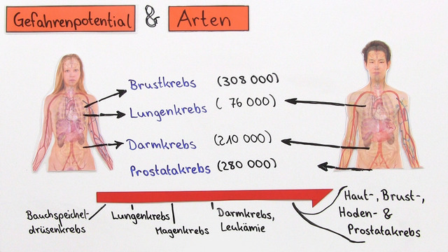Alzheimer Alarm: Warum Lithiummangel Die Krankheit Erklären Könnte! - rxxcuu8