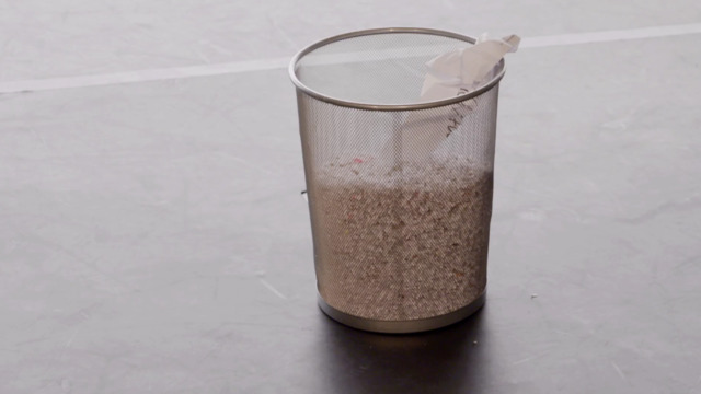 video image
