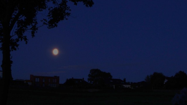 video image