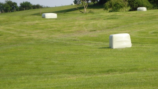 video image