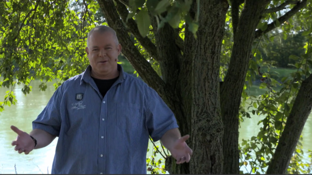 video image
