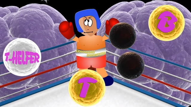video image