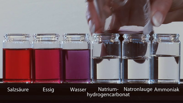 Was Ist Ein Indikator Chemie Indikatoren für Säuren und Basen – Chemie online lernen