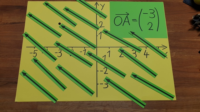 video image