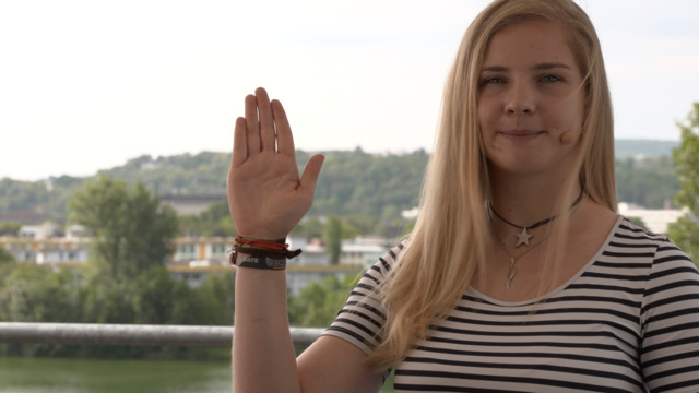 video image
