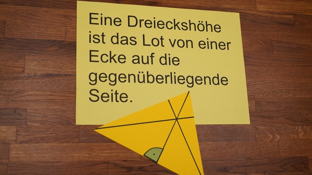 video image