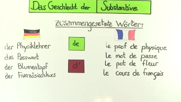 Substantive in Singular und Plural auf Französisch online lernen