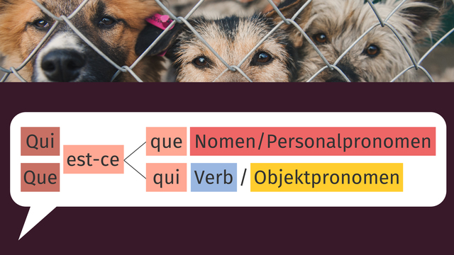 Fragen mit „qui“, „que“ und „estce que“ inkl. Übungen