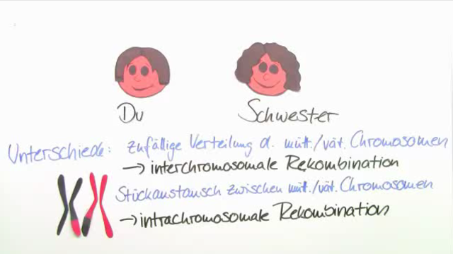 Unterschied zwischen dating-sites und chatrooms