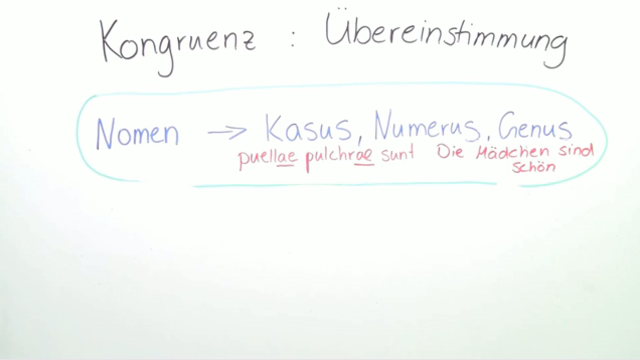 Kongruenz von Substantiven und Adjektiven