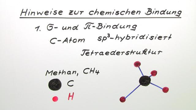 pdf die sauerstoffversorgung der warmblüterorgane unter normalen und pathologischen bedingungen die echoortung