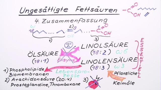 Ungesättigte Fettsäuren – Chemie online lernen
