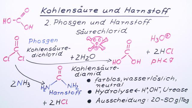 Kohlensäure und Harnstoff – Chemie online lernen