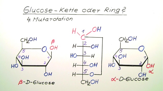 Was Ist Glucose Einfach Erklärt Glucose: Kette oder Ring? – Einfach erklärt (inkl. Übungen)